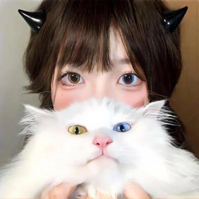 精灵旅社第二季