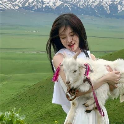 哈莉特:废奴之战