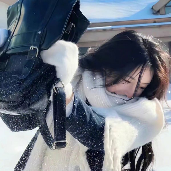 粉红豹系列：偷香窃玉